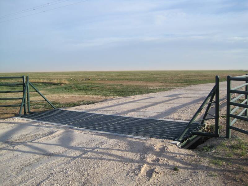 Green cattle guard on a ranch road
